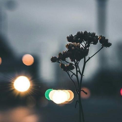 สมาชิกหมายเลข 5164994