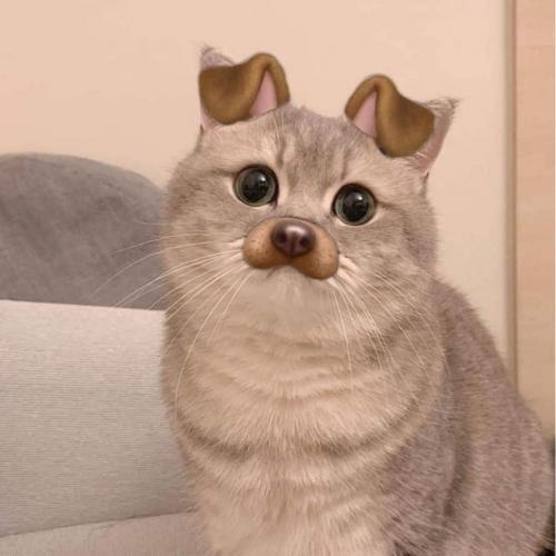 สมาชิกหมายเลข 6607831