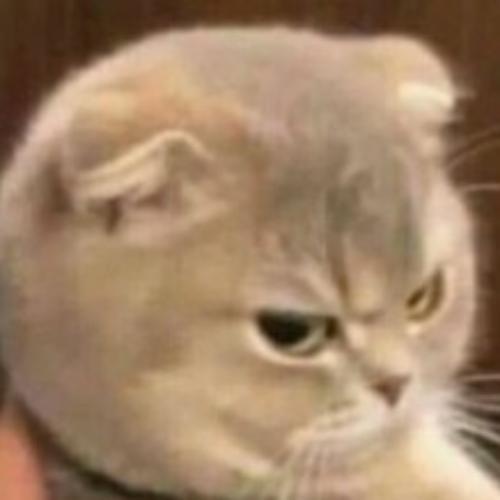 สมาชิกหมายเลข 7318715