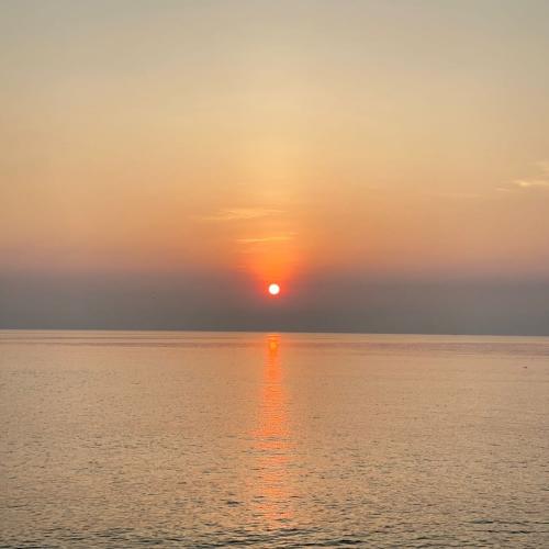 สมาชิกหมายเลข 6726758