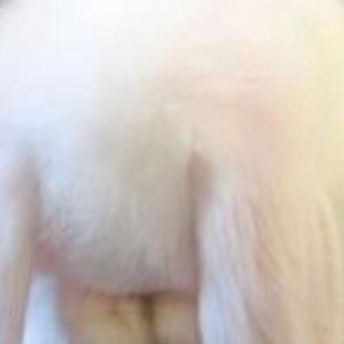 สมาชิกหมายเลข 8219054