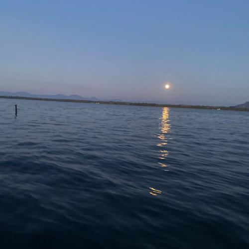 สมาชิกหมายเลข 9193016