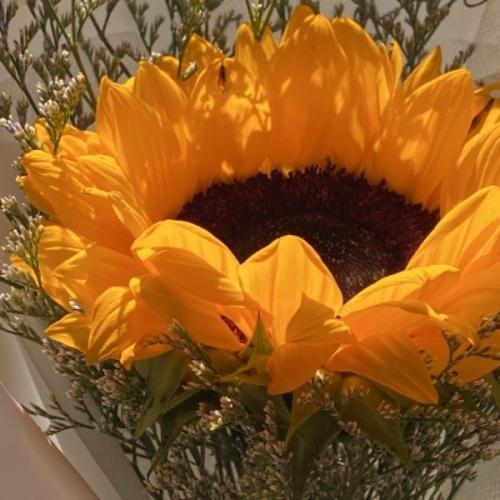 สมาชิกหมายเลข 9223642