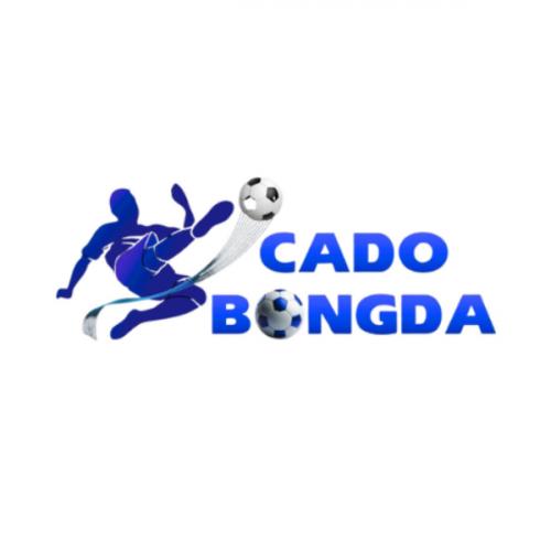 สมาชิกหมายเลข 9224080