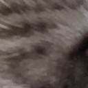 สมาชิกหมายเลข 2664867