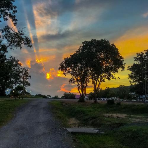 สมาชิกหมายเลข 4337373