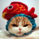 เพชรพริ้ง