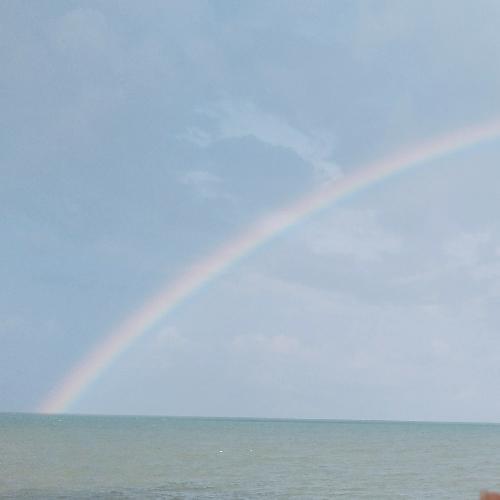 สมาชิกหมายเลข 3650406