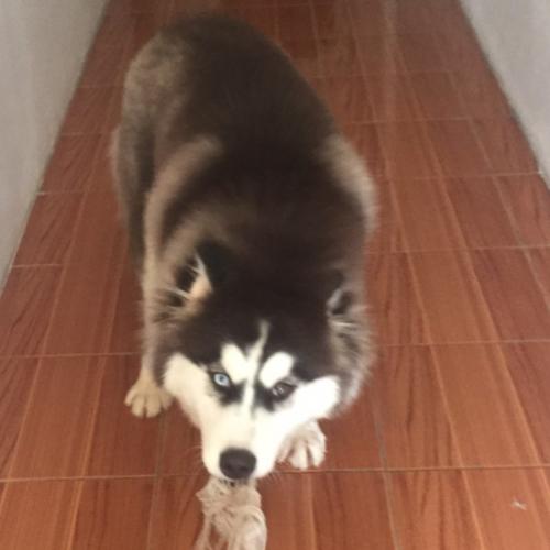 สมาชิกหมายเลข 2613090