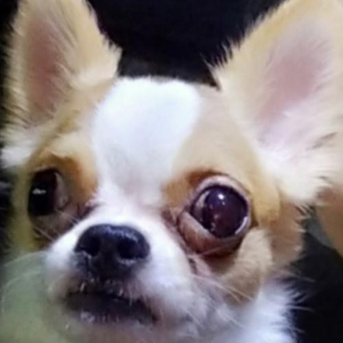 สมาชิกหมายเลข 5924220