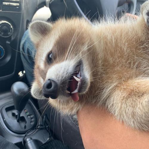 สมาชิกหมายเลข 5996739