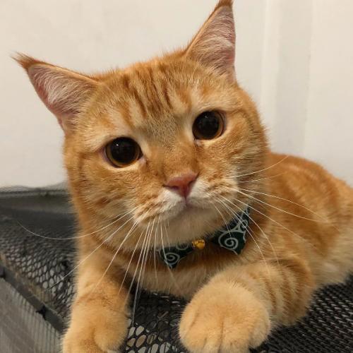 สมาชิกหมายเลข 5996840