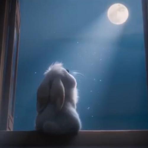 สมาชิกหมายเลข 6607856