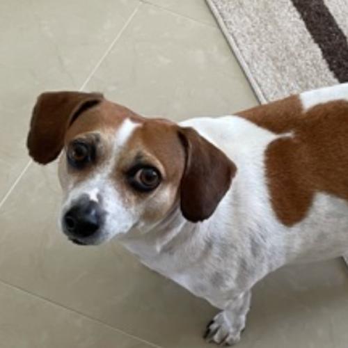 เมย์-มิ้นท์