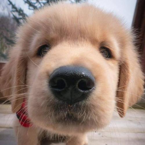 สมาชิกหมายเลข 7336311