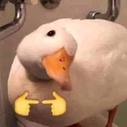 สมาชิกหมายเลข 7347192