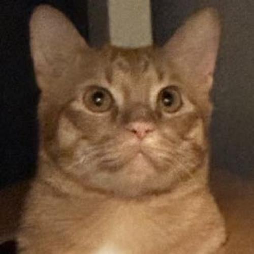 สมาชิกหมายเลข 3522389