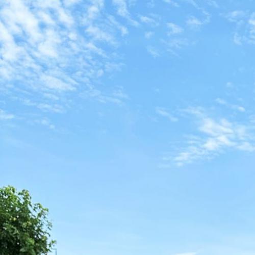 สมาชิกหมายเลข 7731722