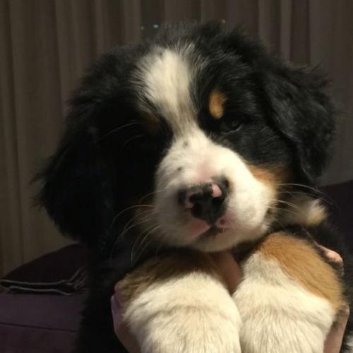 สมาชิกหมายเลข 6941833