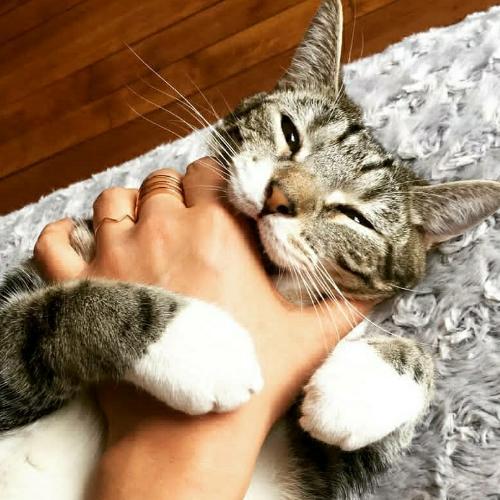 สมาชิกหมายเลข 4707960