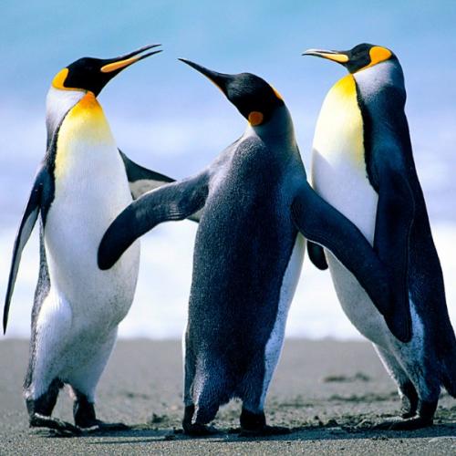 สมาชิกหมายเลข 5996884