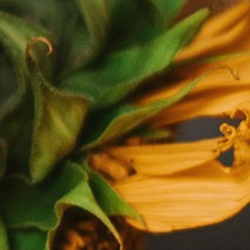 สมาชิกหมายเลข 5996904