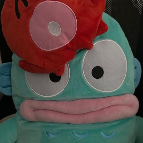 สมาชิกหมายเลข 5095473