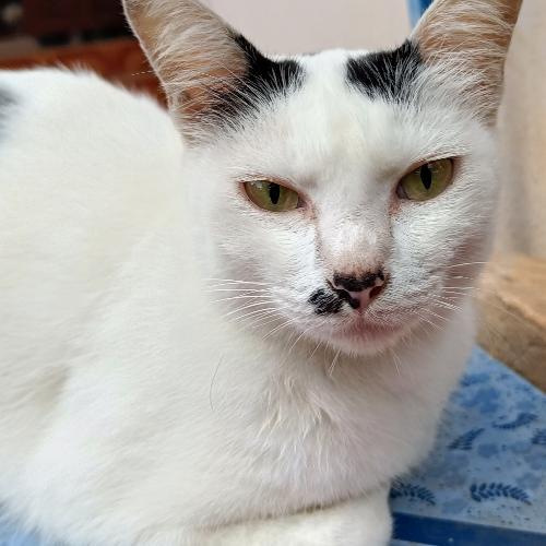 สมาชิกหมายเลข 7931262