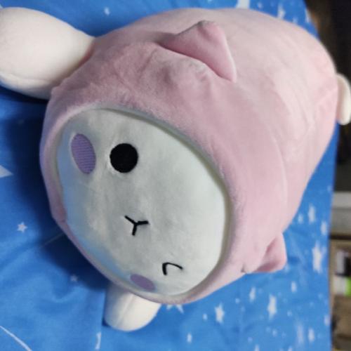 สมาชิกหมายเลข 8221286