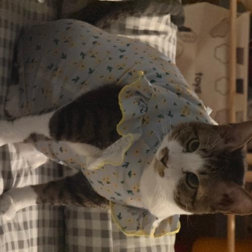 สมาชิกหมายเลข 5335531