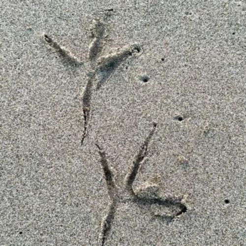 สมาชิกหมายเลข 7009490