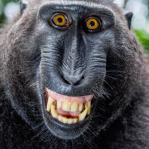 สมาชิกหมายเลข 9225329