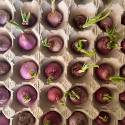 สมาชิกหมายเลข 9225743