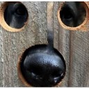 สมาชิกหมายเลข 3870733