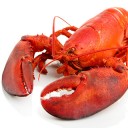 kung_มังกร