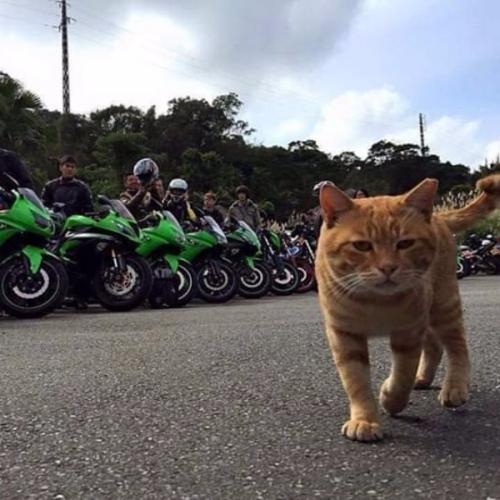 สมาชิกหมายเลข 5997491