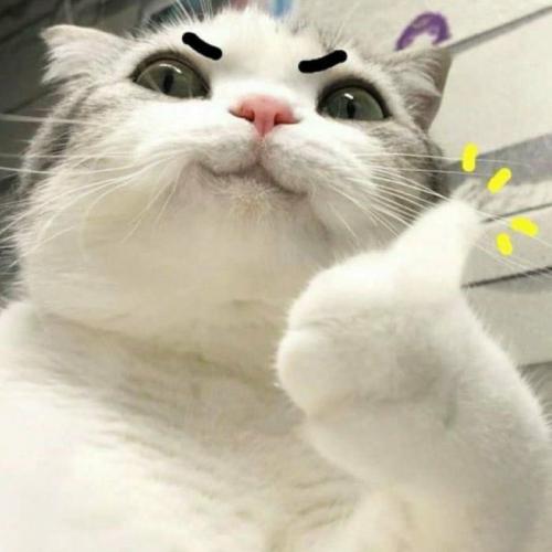 สมาชิกหมายเลข 6609338