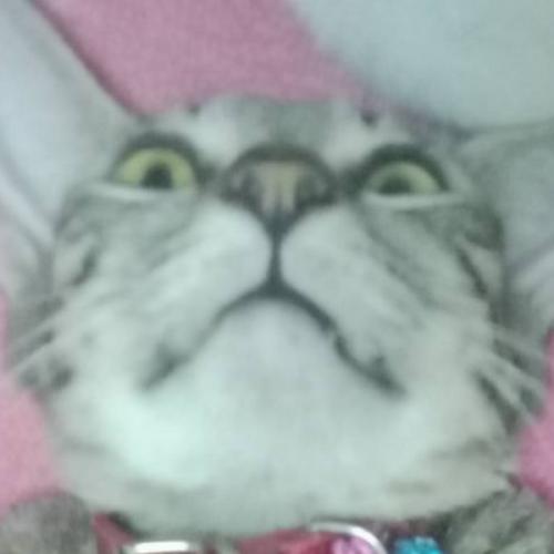 สมาชิกหมายเลข 6609750