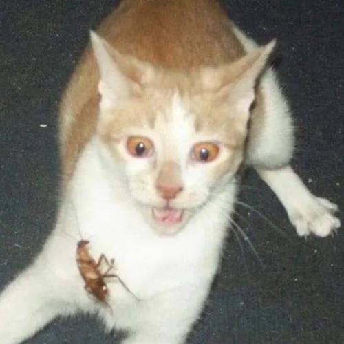 สมาชิกหมายเลข 7348879