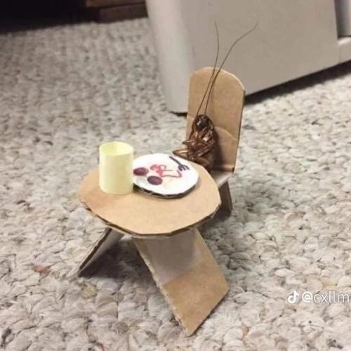 สมาชิกหมายเลข 5092649