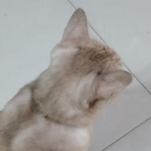 สมาชิกหมายเลข 8223726