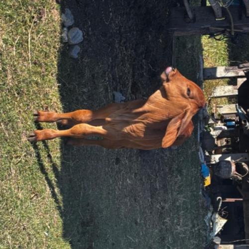 สมาชิกหมายเลข 3905822