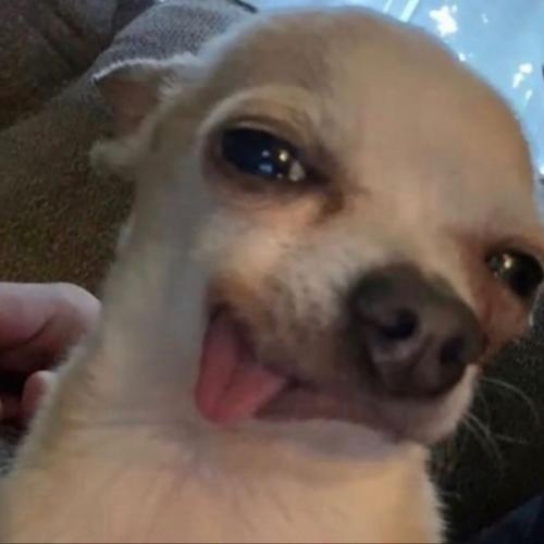 สมาชิกหมายเลข 8280531