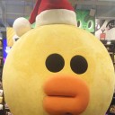 สมาชิกหมายเลข 1908211