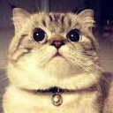 สมาชิกหมายเลข 4339223