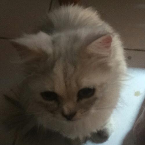 สมาชิกหมายเลข 5077790