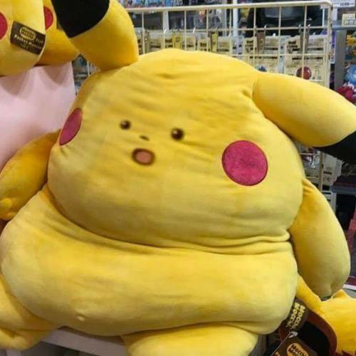 สมาชิกหมายเลข 5077928