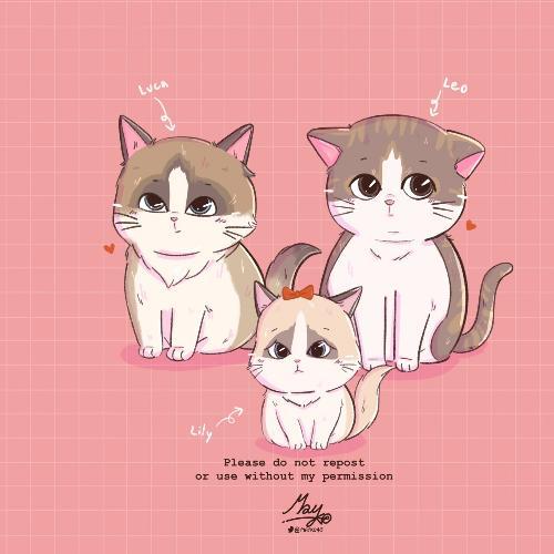 สมาชิกหมายเลข 5311792