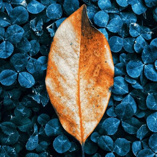 สมาชิกหมายเลข 3334340