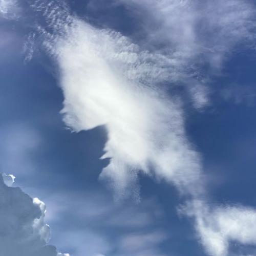 สมาชิกหมายเลข 4122643